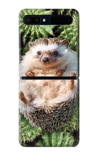 W3863 Pygmy Hedgehog Dwarf Hedgehog Paint Hard Case For Samsung Galaxy Z Flip 5G