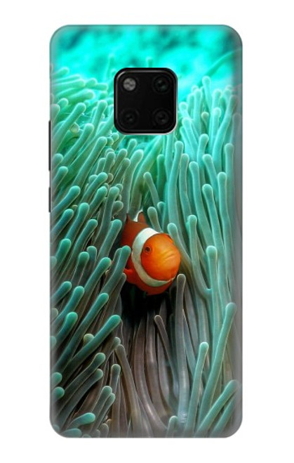 W3893 Ocellaris clownfish Hard Case and Leather Flip Case For Huawei Mate 20 Pro
