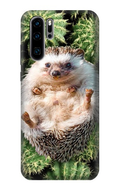 W3863 Pygmy Hedgehog Dwarf Hedgehog Paint Hard Case and Leather Flip Case For Huawei P30 Pro