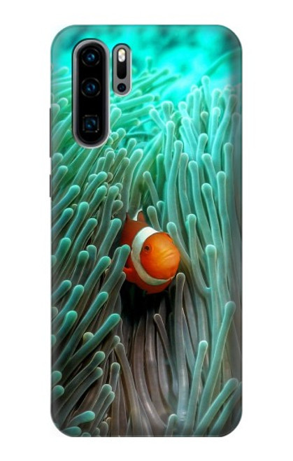 W3893 Ocellaris clownfish Hard Case and Leather Flip Case For Huawei P30 Pro