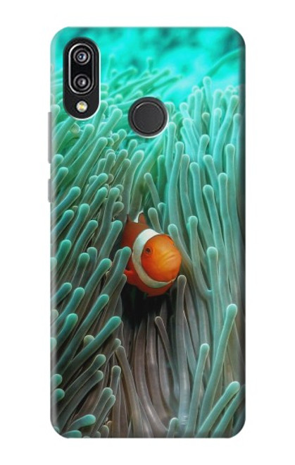 W3893 Ocellaris clownfish Hard Case and Leather Flip Case For Huawei P20 Lite
