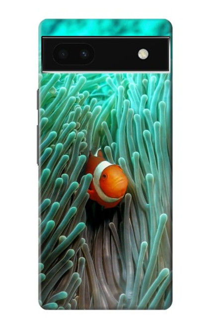 W3893 Ocellaris clownfish Hard Case and Leather Flip Case For Google Pixel 6a