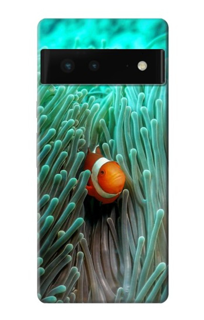 W3893 Ocellaris clownfish Hard Case and Leather Flip Case For Google Pixel 6