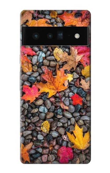 W3889 Maple Leaf Hard Case and Leather Flip Case For Google Pixel 6 Pro