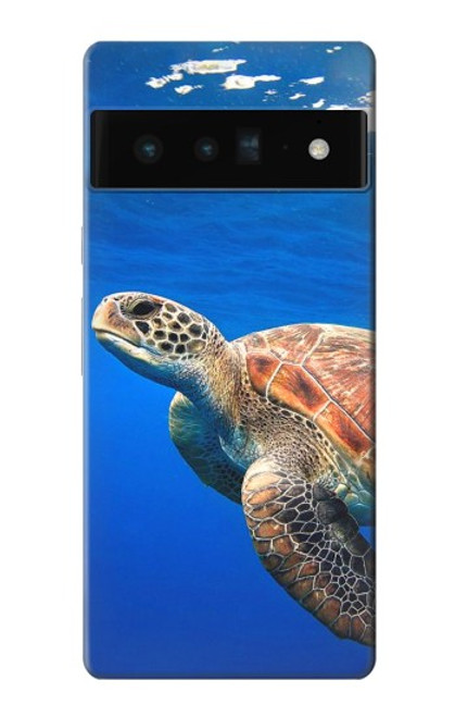 W3898 Sea Turtle Hard Case and Leather Flip Case For Google Pixel 6 Pro