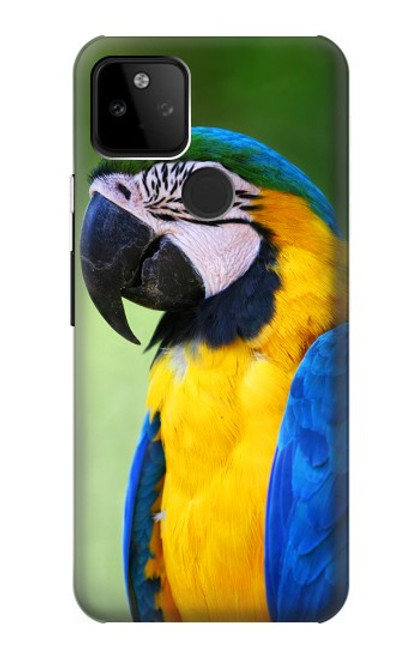 W3888 Macaw Face Bird Hard Case and Leather Flip Case For Google Pixel 5A 5G