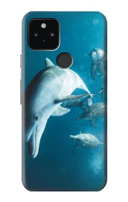 W3878 Dolphin Hard Case and Leather Flip Case For Google Pixel 5
