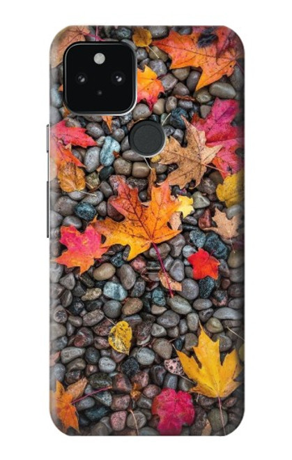 W3889 Maple Leaf Hard Case and Leather Flip Case For Google Pixel 5