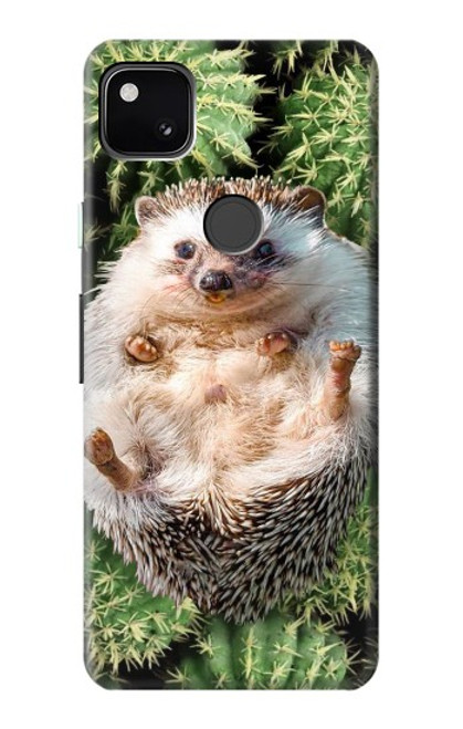 W3863 Pygmy Hedgehog Dwarf Hedgehog Paint Hard Case and Leather Flip Case For Google Pixel 4a