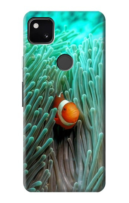 W3893 Ocellaris clownfish Hard Case and Leather Flip Case For Google Pixel 4a
