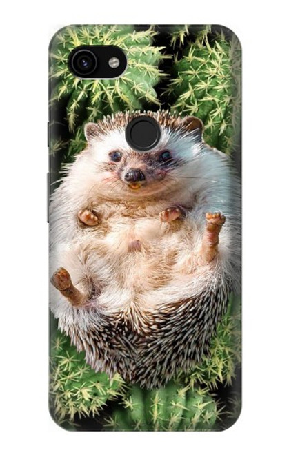 W3863 Pygmy Hedgehog Dwarf Hedgehog Paint Hard Case and Leather Flip Case For Google Pixel 3a XL