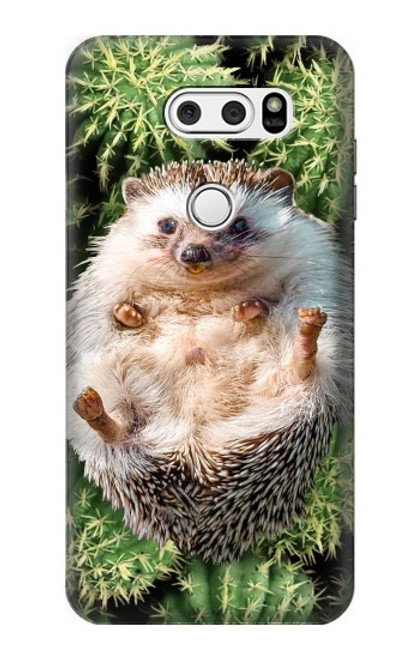 W3863 Pygmy Hedgehog Dwarf Hedgehog Paint Hard Case and Leather Flip Case For LG V30, LG V30 Plus, LG V30S ThinQ, LG V35, LG V35 ThinQ