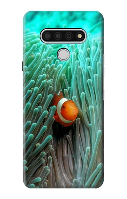 W3893 Ocellaris clownfish Hard Case and Leather Flip Case For LG Stylo 6