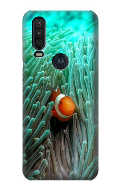 W3893 Ocellaris clownfish Hard Case and Leather Flip Case For Motorola One Action (Moto P40 Power)