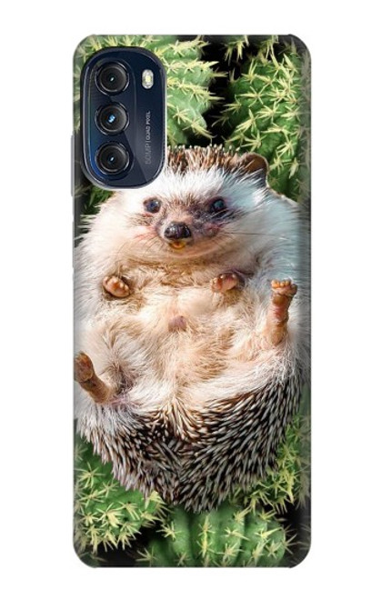 W3863 Pygmy Hedgehog Dwarf Hedgehog Paint Hard Case and Leather Flip Case For Motorola Moto G (2022)