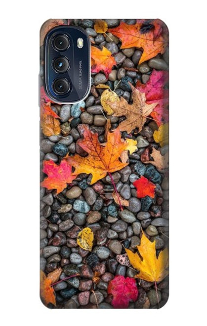 W3889 Maple Leaf Hard Case and Leather Flip Case For Motorola Moto G (2022)