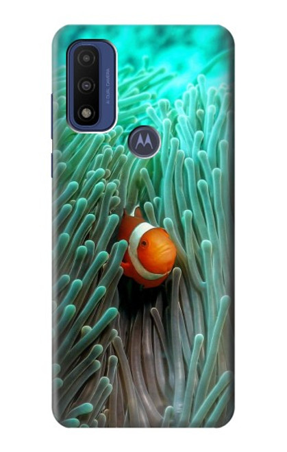 W3893 Ocellaris clownfish Hard Case and Leather Flip Case For Motorola G Pure