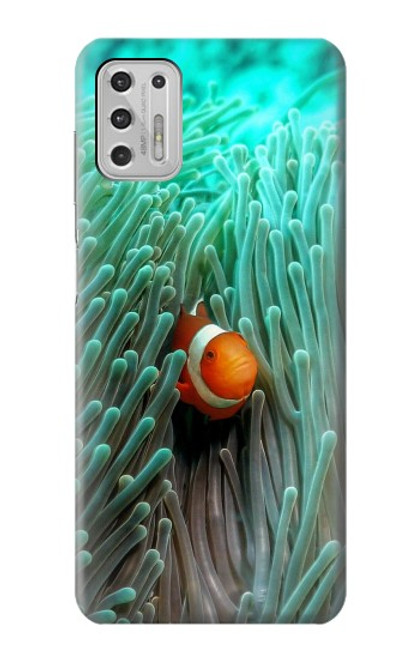 W3893 Ocellaris clownfish Hard Case and Leather Flip Case For Motorola Moto G Stylus (2021)
