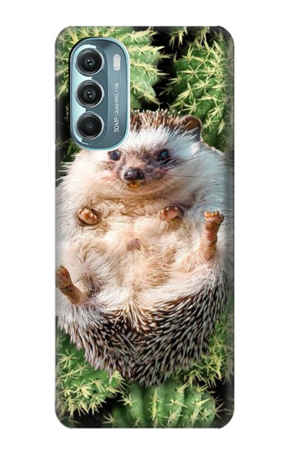 W3863 Pygmy Hedgehog Dwarf Hedgehog Paint Hard Case and Leather Flip Case For Motorola Moto G Stylus 5G (2022)
