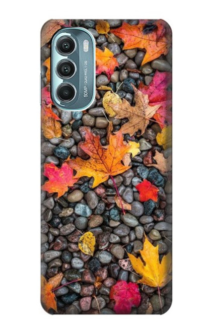 W3889 Maple Leaf Hard Case and Leather Flip Case For Motorola Moto G Stylus 5G (2022)