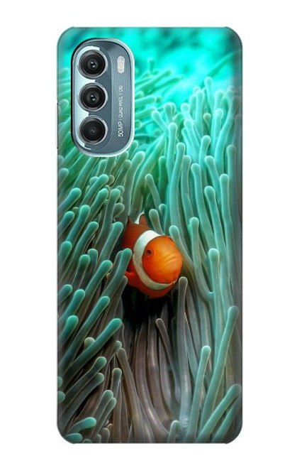 W3893 Ocellaris clownfish Hard Case and Leather Flip Case For Motorola Moto G Stylus 5G (2022)