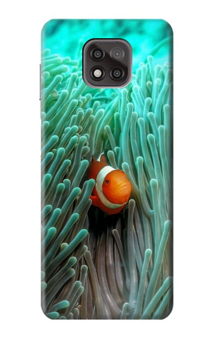 W3893 Ocellaris clownfish Hard Case and Leather Flip Case For Motorola Moto G Power (2021)