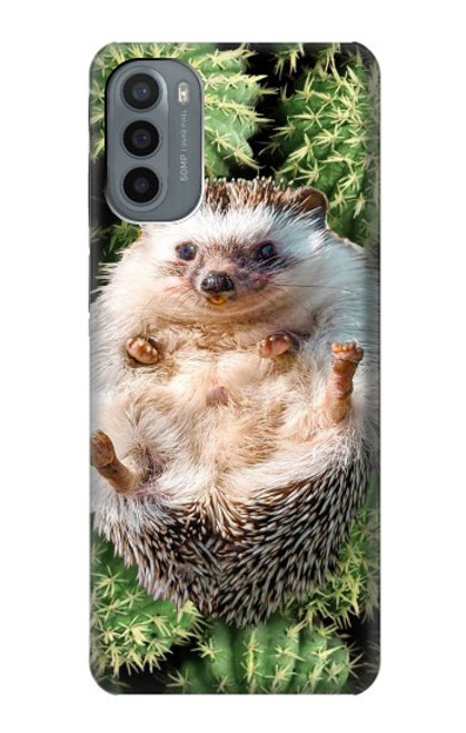 W3863 Pygmy Hedgehog Dwarf Hedgehog Paint Hard Case and Leather Flip Case For Motorola Moto G31