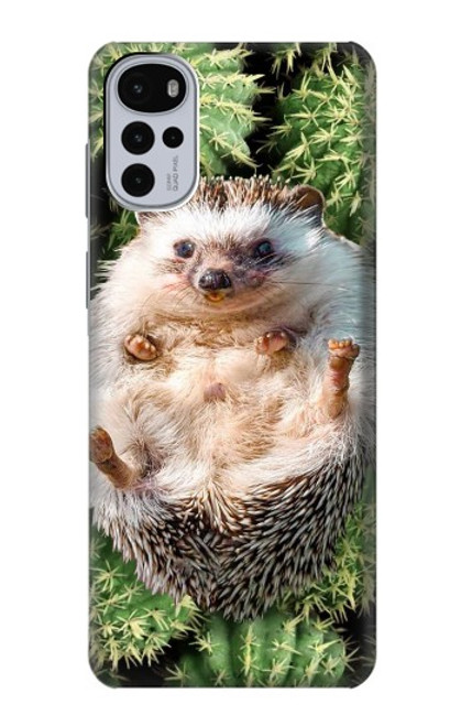 W3863 Pygmy Hedgehog Dwarf Hedgehog Paint Hard Case and Leather Flip Case For Motorola Moto G22