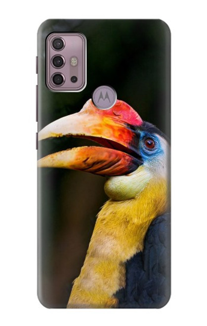 W3876 Colorful Hornbill Hard Case and Leather Flip Case For Motorola Moto G30, G20, G10