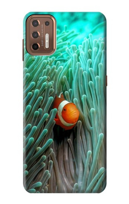 W3893 Ocellaris clownfish Hard Case and Leather Flip Case For Motorola Moto G9 Plus