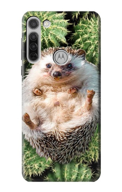 W3863 Pygmy Hedgehog Dwarf Hedgehog Paint Hard Case and Leather Flip Case For Motorola Moto G8