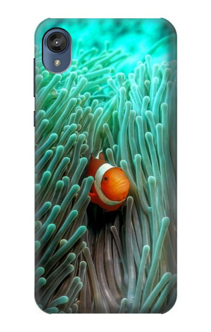 W3893 Ocellaris clownfish Hard Case and Leather Flip Case For Motorola Moto E6, Moto E (6th Gen)
