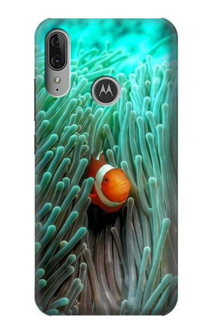 W3893 Ocellaris clownfish Hard Case and Leather Flip Case For Motorola Moto E6 Plus, Moto E6s