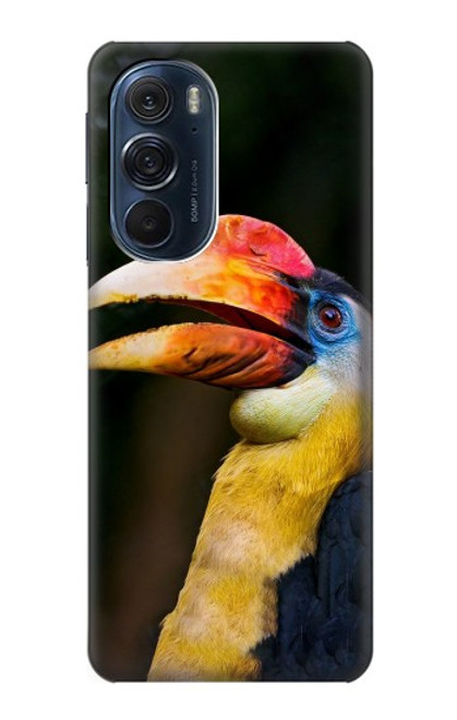 W3876 Colorful Hornbill Hard Case and Leather Flip Case For Motorola Edge X30