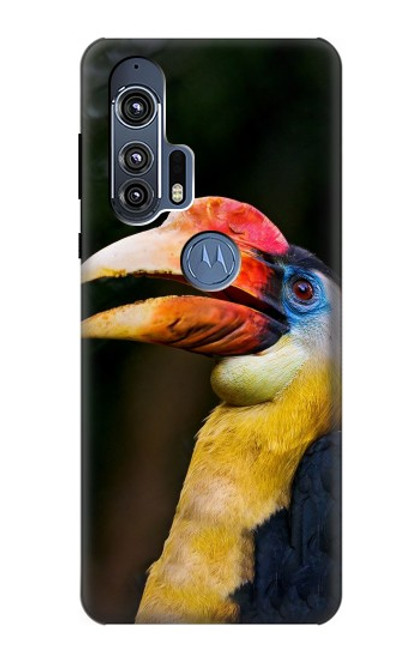 W3876 Colorful Hornbill Hard Case and Leather Flip Case For Motorola Edge+
