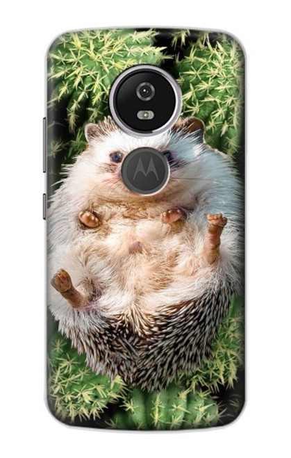 W3863 Pygmy Hedgehog Dwarf Hedgehog Paint Hard Case and Leather Flip Case For Motorola Moto E5 Plus