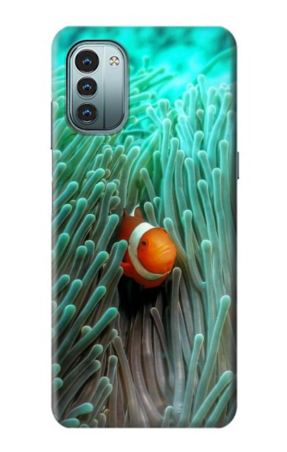 W3893 Ocellaris clownfish Hard Case and Leather Flip Case For Nokia G11, G21