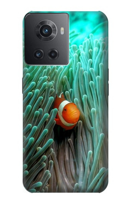 W3893 Ocellaris clownfish Hard Case and Leather Flip Case For OnePlus 10R