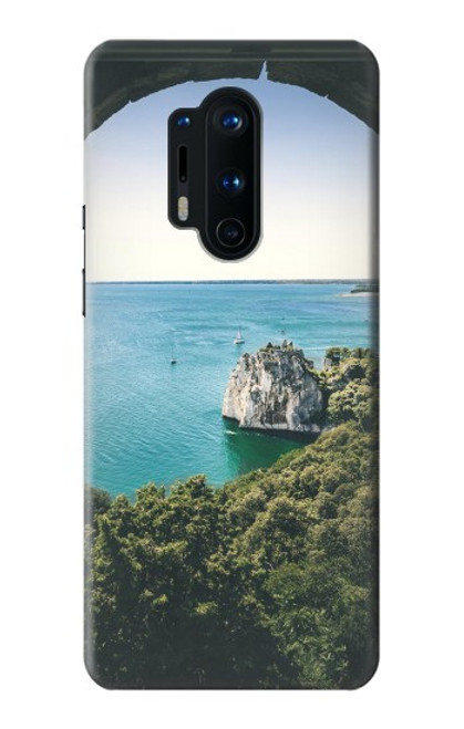 W3865 Europe Duino Beach Italy Hard Case and Leather Flip Case For OnePlus 8 Pro