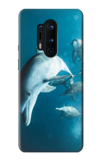 W3878 Dolphin Hard Case and Leather Flip Case For OnePlus 8 Pro