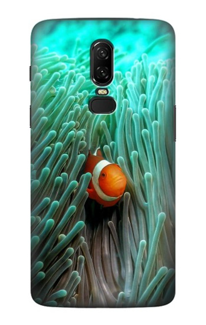W3893 Ocellaris clownfish Hard Case and Leather Flip Case For OnePlus 6