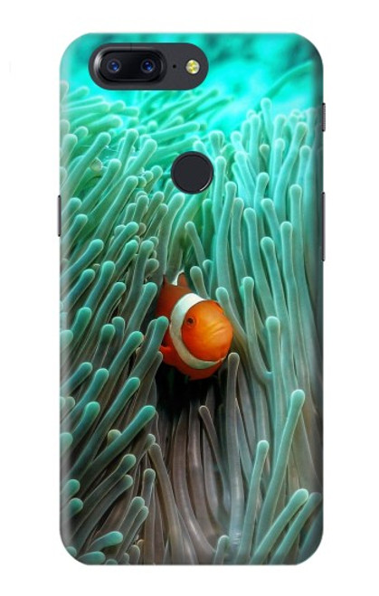 W3893 Ocellaris clownfish Hard Case and Leather Flip Case For OnePlus 5T