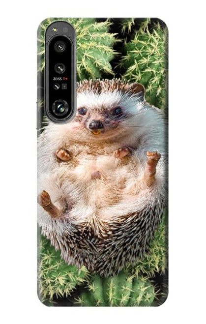 W3863 Pygmy Hedgehog Dwarf Hedgehog Paint Hard Case and Leather Flip Case For Sony Xperia 1 IV