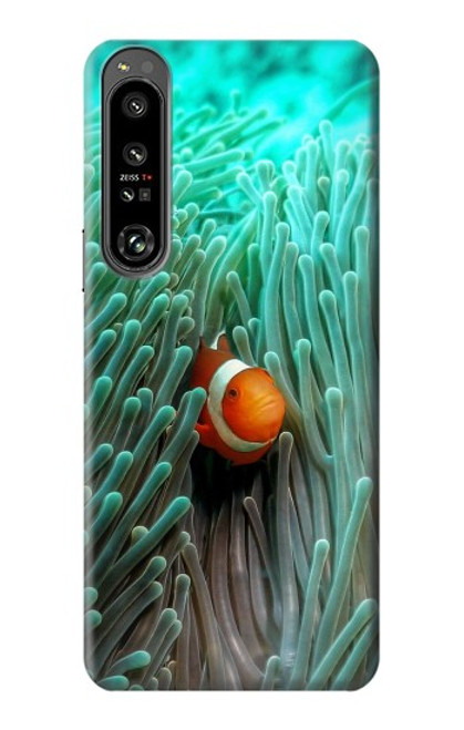 W3893 Ocellaris clownfish Hard Case and Leather Flip Case For Sony Xperia 1 IV