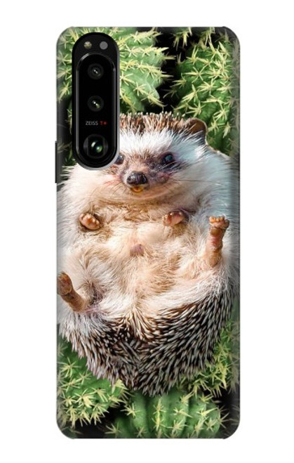 W3863 Pygmy Hedgehog Dwarf Hedgehog Paint Hard Case and Leather Flip Case For Sony Xperia 5 III