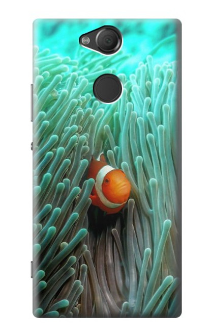 W3893 Ocellaris clownfish Hard Case and Leather Flip Case For Sony Xperia XA2