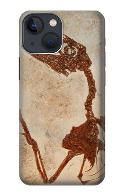 W0379 Dinosaur Fossil Hard Case and Leather Flip Case For iPhone 14