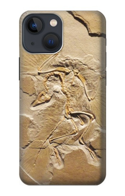 W0380 Dinosaur Fossil Hard Case and Leather Flip Case For iPhone 14
