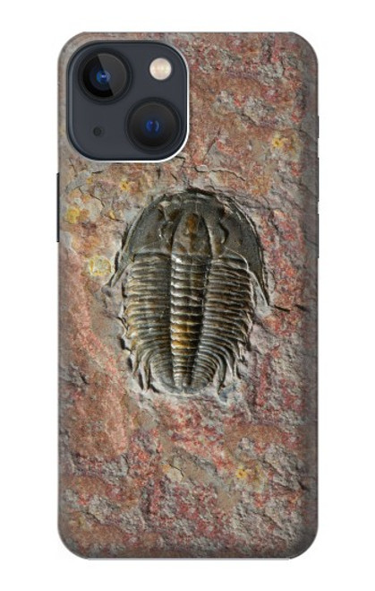W1454 Trilobite Fossil Hard Case and Leather Flip Case For iPhone 14