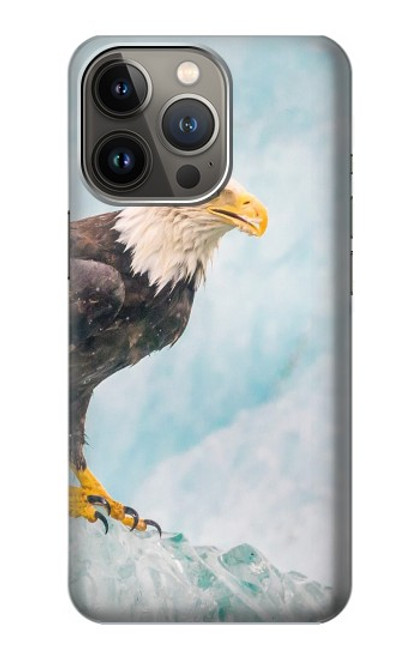 W3843 Bald Eagle On Ice Hard Case and Leather Flip Case For iPhone 14 Pro